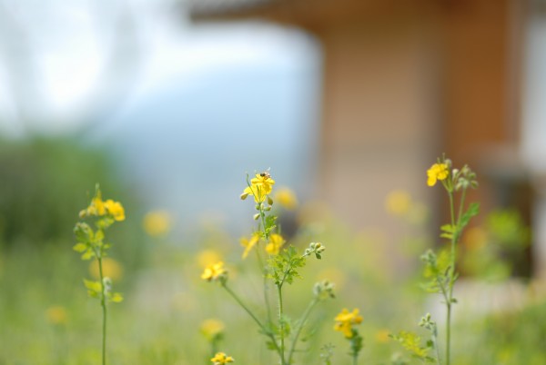1651127332.8124DSC_01751.JPG